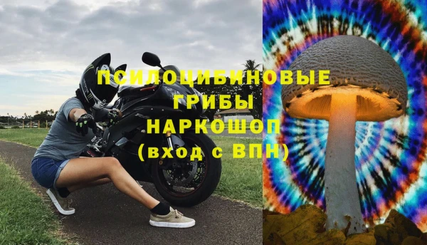 герыч Дмитровск