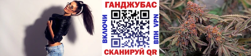 Купить закладки  Дрезна  Шишки марихуана Ganja 